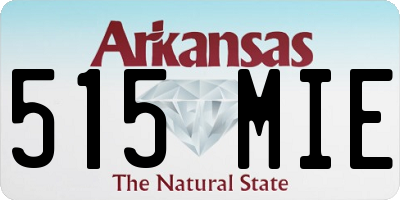 AR license plate 515MIE