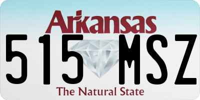 AR license plate 515MSZ