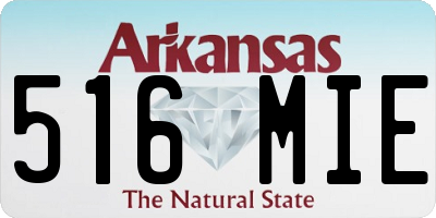 AR license plate 516MIE