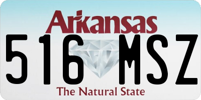 AR license plate 516MSZ
