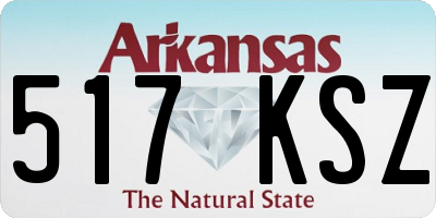 AR license plate 517KSZ