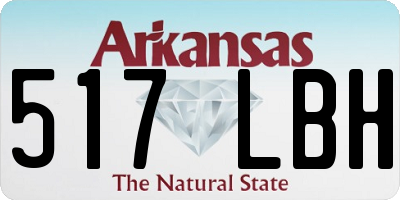 AR license plate 517LBH
