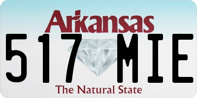 AR license plate 517MIE