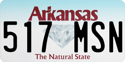 AR license plate 517MSN