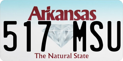 AR license plate 517MSU