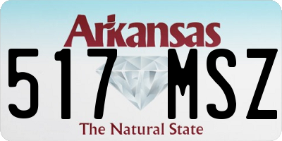 AR license plate 517MSZ