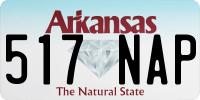 AR license plate 517NAP