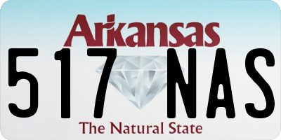 AR license plate 517NAS