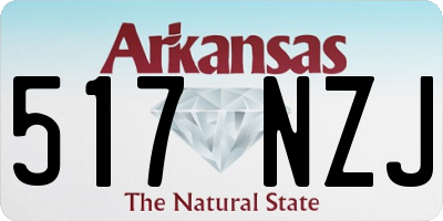 AR license plate 517NZJ
