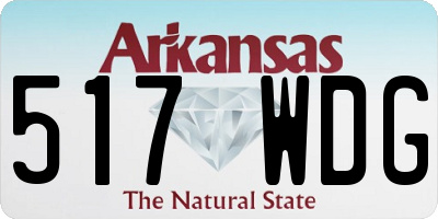 AR license plate 517WDG