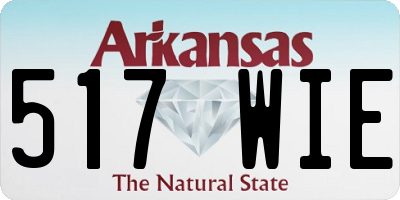 AR license plate 517WIE