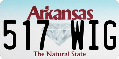 AR license plate 517WIG