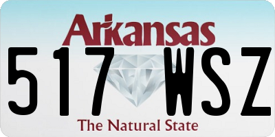 AR license plate 517WSZ
