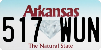 AR license plate 517WUN