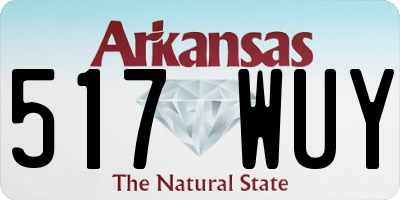 AR license plate 517WUY