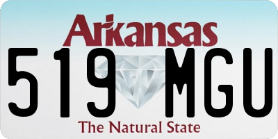 AR license plate 519MGU