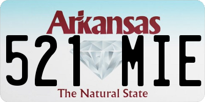 AR license plate 521MIE