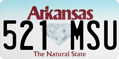 AR license plate 521MSU