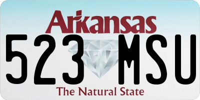 AR license plate 523MSU