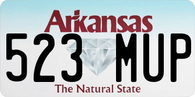 AR license plate 523MUP