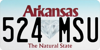 AR license plate 524MSU