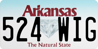 AR license plate 524WIG