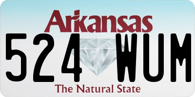 AR license plate 524WUM