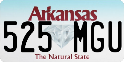 AR license plate 525MGU