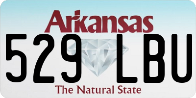 AR license plate 529LBU