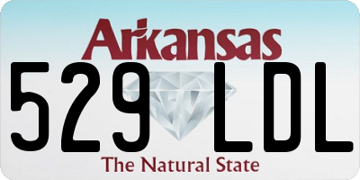 AR license plate 529LDL