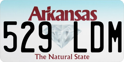 AR license plate 529LDM