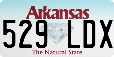AR license plate 529LDX