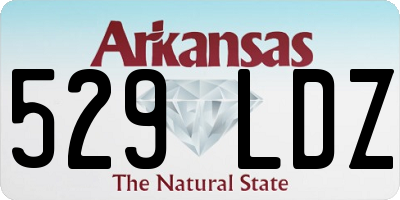 AR license plate 529LDZ
