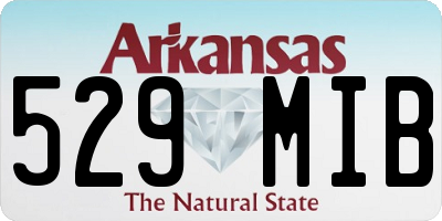 AR license plate 529MIB