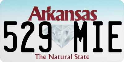 AR license plate 529MIE