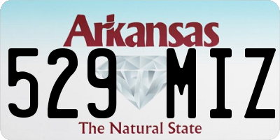 AR license plate 529MIZ