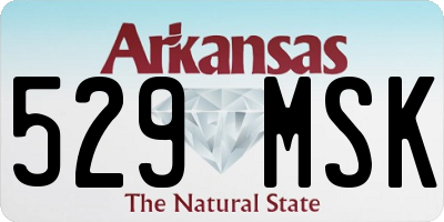 AR license plate 529MSK