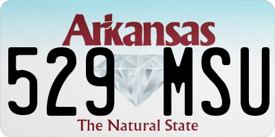 AR license plate 529MSU