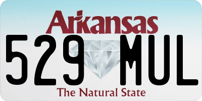AR license plate 529MUL