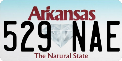 AR license plate 529NAE