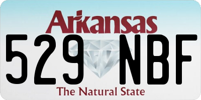 AR license plate 529NBF
