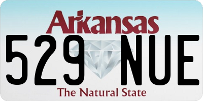 AR license plate 529NUE