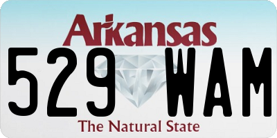 AR license plate 529WAM