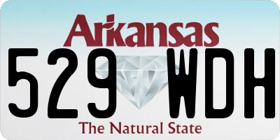 AR license plate 529WDH