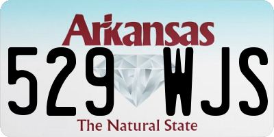 AR license plate 529WJS