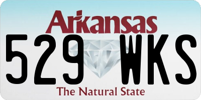 AR license plate 529WKS