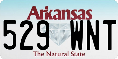 AR license plate 529WNT