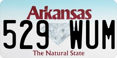 AR license plate 529WUM