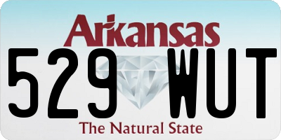 AR license plate 529WUT