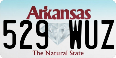 AR license plate 529WUZ